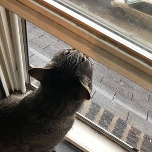 Meet your Posher, Kaylee